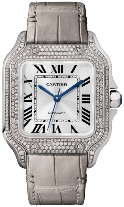 Cartier Santos De Cartier WJSA0006 Sølvfarget/Lær