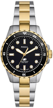 Fossil Blue Dive
